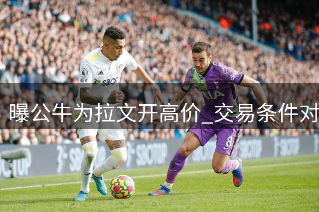 曝公牛为拉文开高价 交易条件对标顶级球星