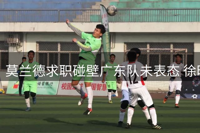 莫兰德求职碰壁广东队未表态 徐昕租借期满广东回购存变数